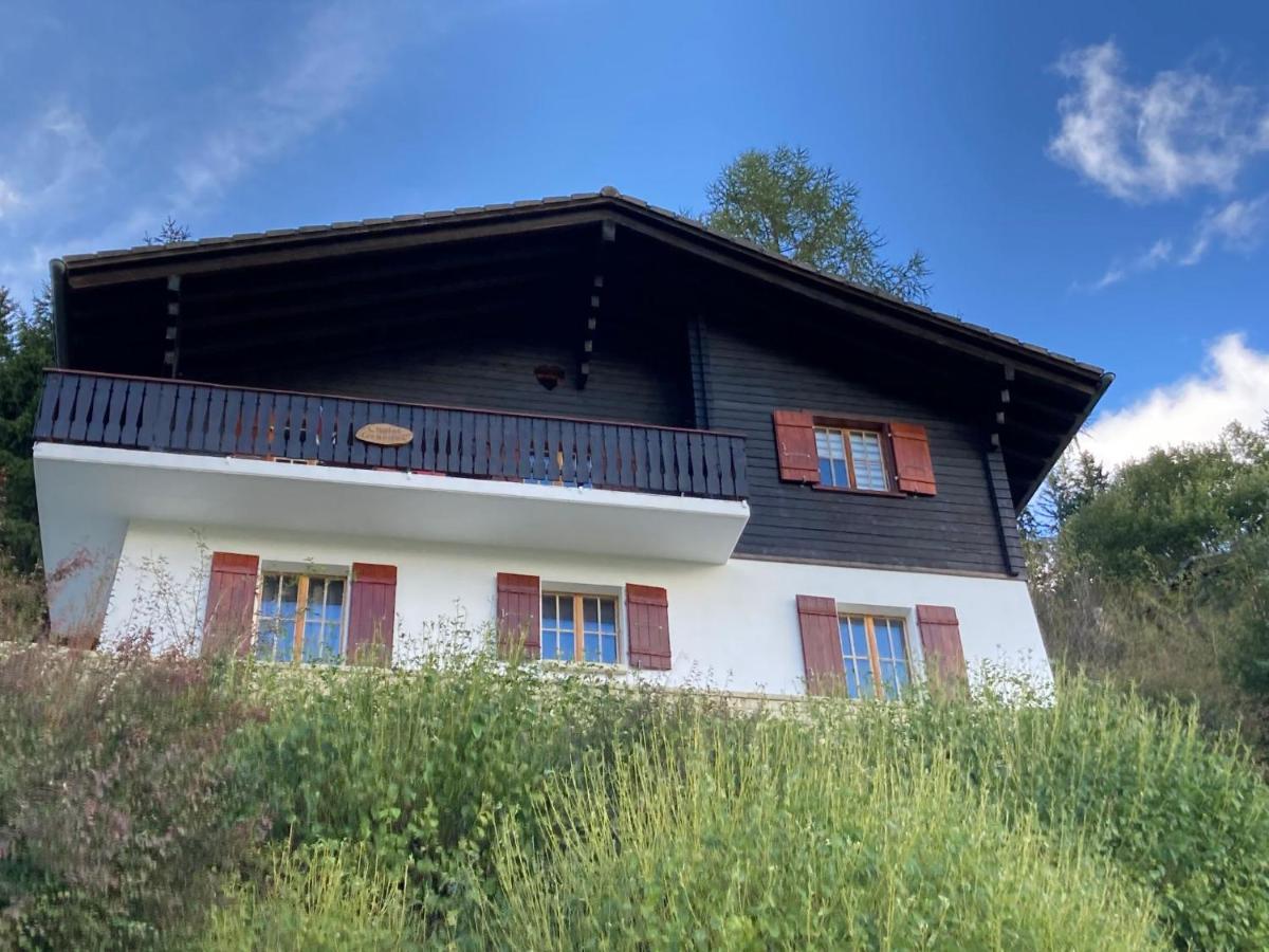 Chalet Chalet 1627 By Interhome Moleson Exterior photo